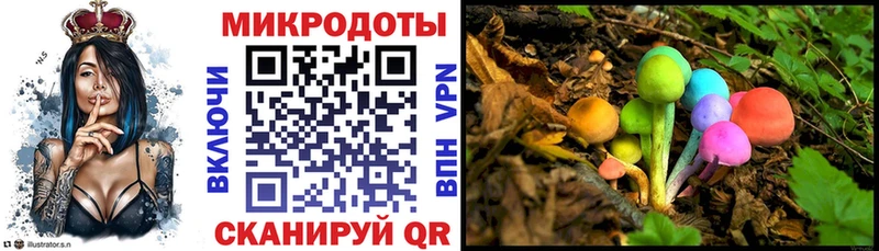 магазин продажи наркотиков  Тара  Псилоцибиновые грибы GOLDEN TEACHER 