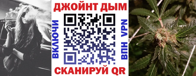 Бошки Шишки план  дарнет шоп  Тара 